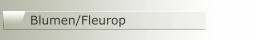 Blumen/Fleurop